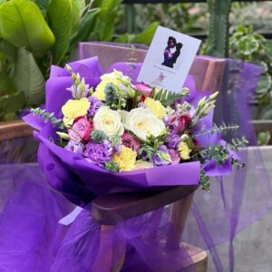 The Augusta Collection